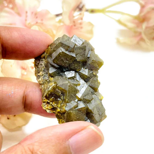 Zen Coded Andradite Garnet Mineral (Arizona, USA)